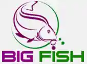  Bigfish.ro Coduri promoționale